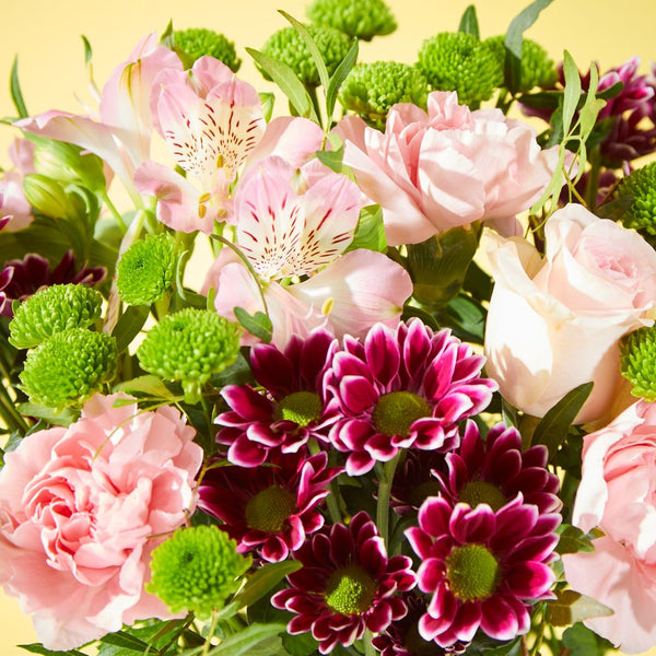 Letterbox Pink Whisper Zing Flowers