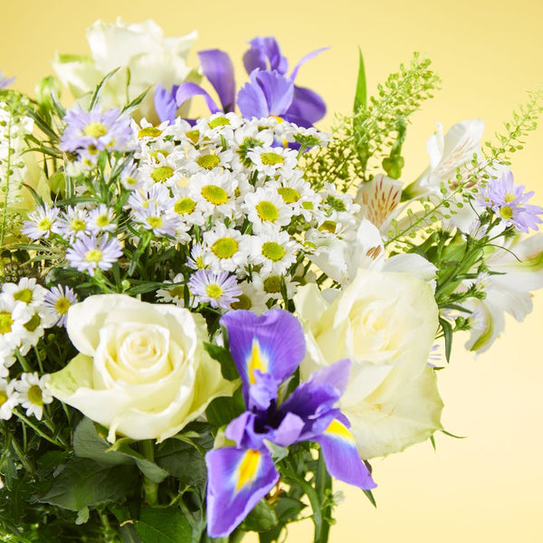 Letterbox Meadow Serenade Zing Flowers