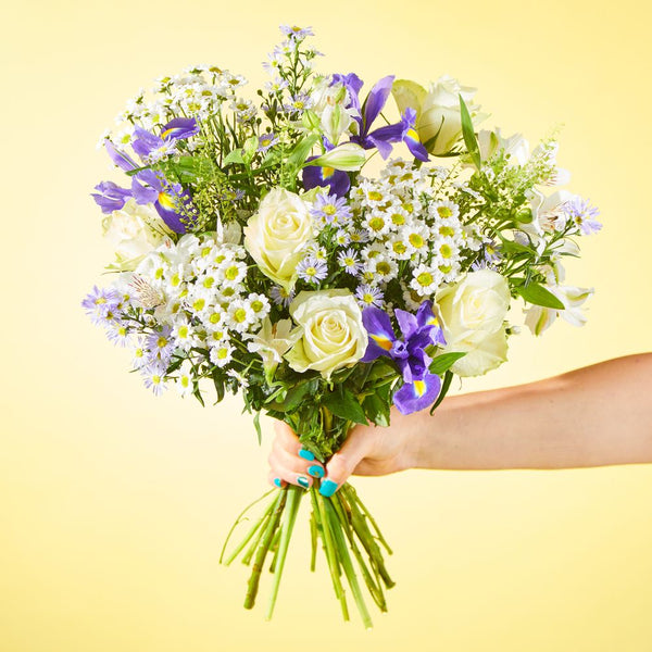 Letterbox Meadow Serenade Zing Flowers