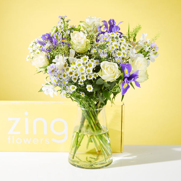 Letterbox Meadow Serenade Zing Flowers