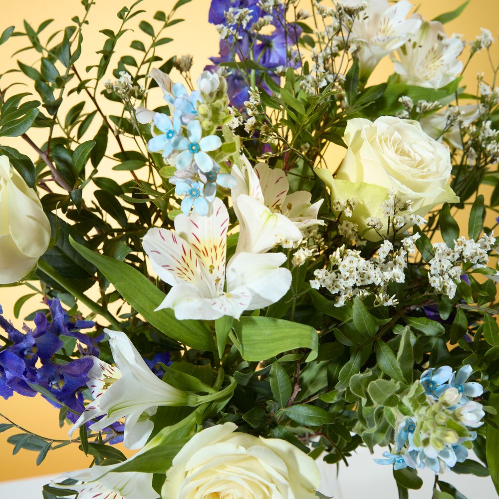 Baby Boy Zing Flowers