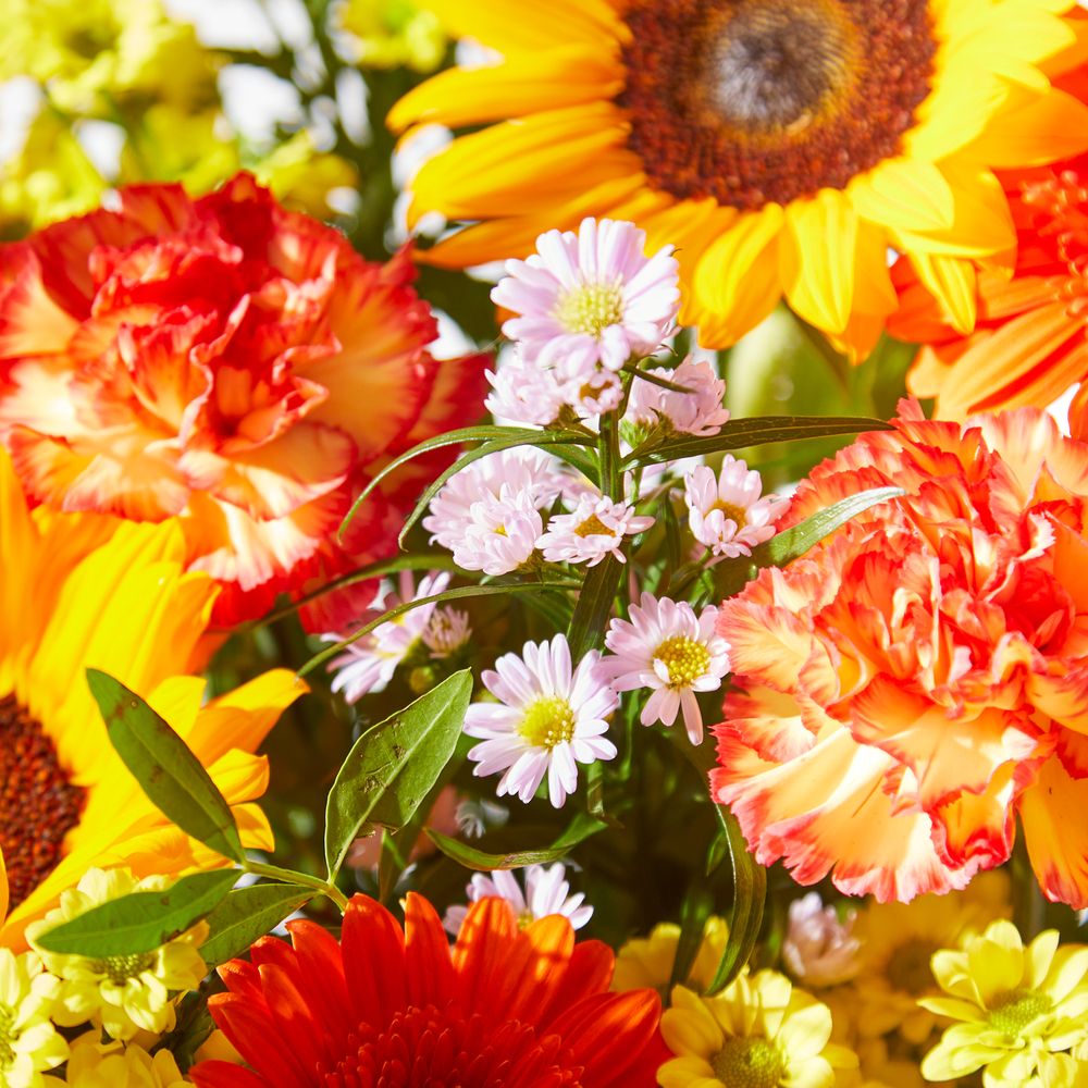Sunshine Mosaic