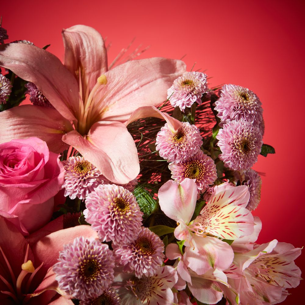 Pink Fizz