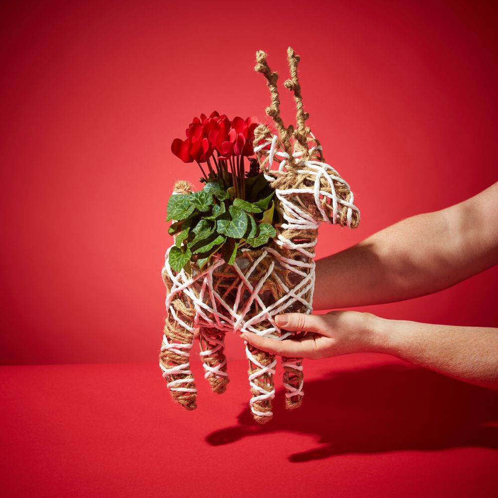 Prancer planter
