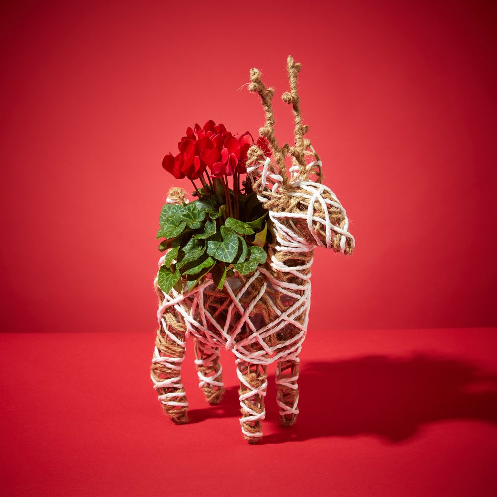 Prancer planter