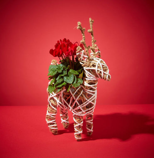 Prancer planter