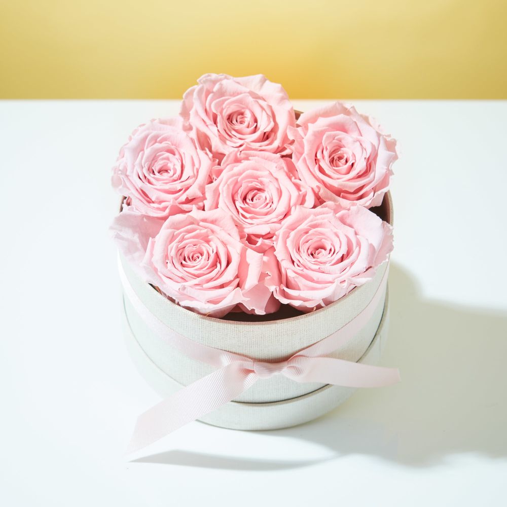 Everlasting Roses Zing Flowers