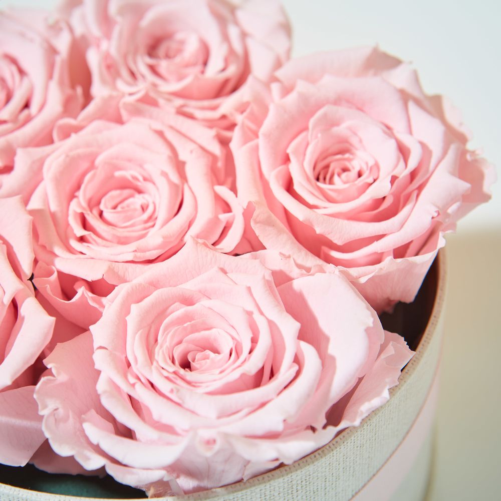 Everlasting Roses Zing Flowers