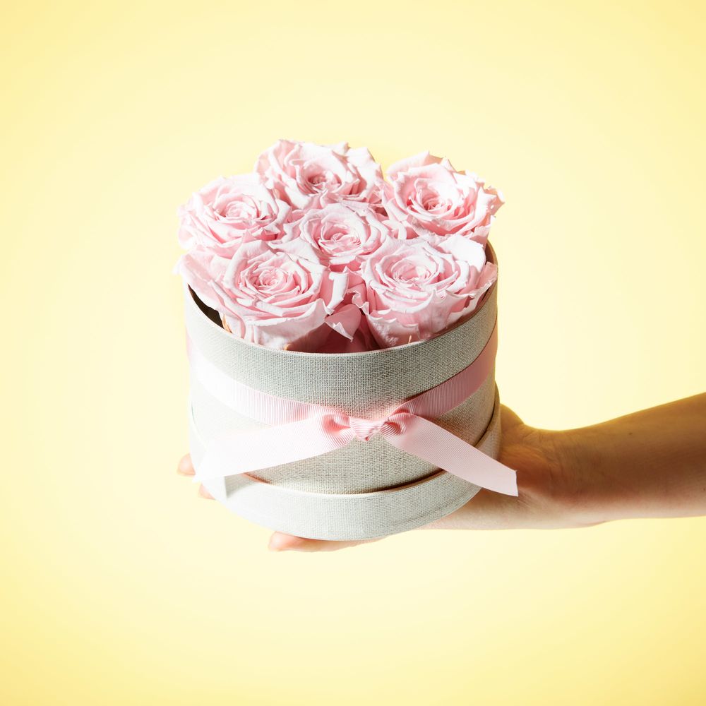 Everlasting Roses Zing Flowers